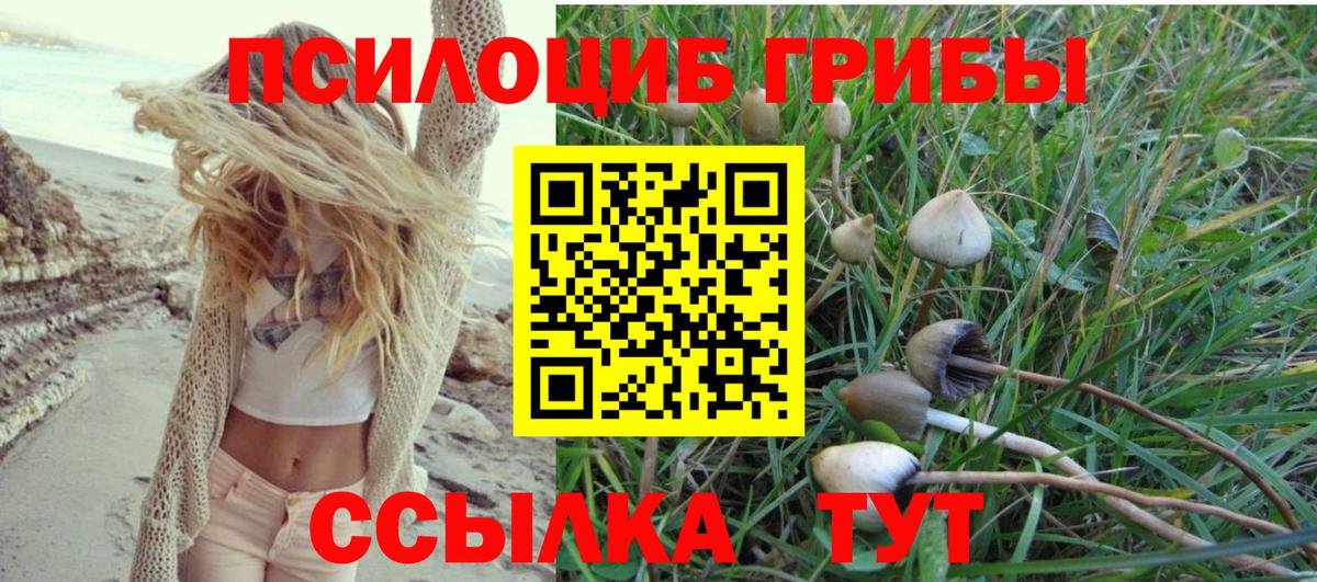 цены наркотик  Псилоцибиновые грибы Psilocybine cubensis  Вход с VPN  Комсомольск-на-Амуре 