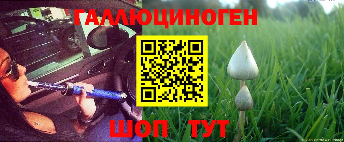 Псилоцибиновые грибы мицелий Комсомольск-на-Амуре